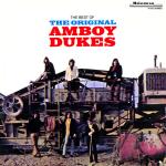 GRAPHIC IMAGE 'Best Of The Original Amboy Dukes' front cover