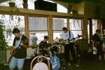 GRAPHIC IMAGE 'Insect Surfers at Sangria, Hermosa Beach, October 21, 2000'