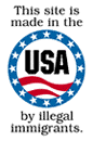 GRAPHIC IMAGE 'This Site Made In The USA By Illegal Immigrants'